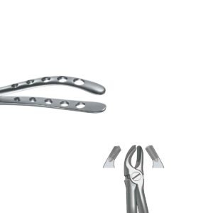 Forceps Molares superiore destro n. 17