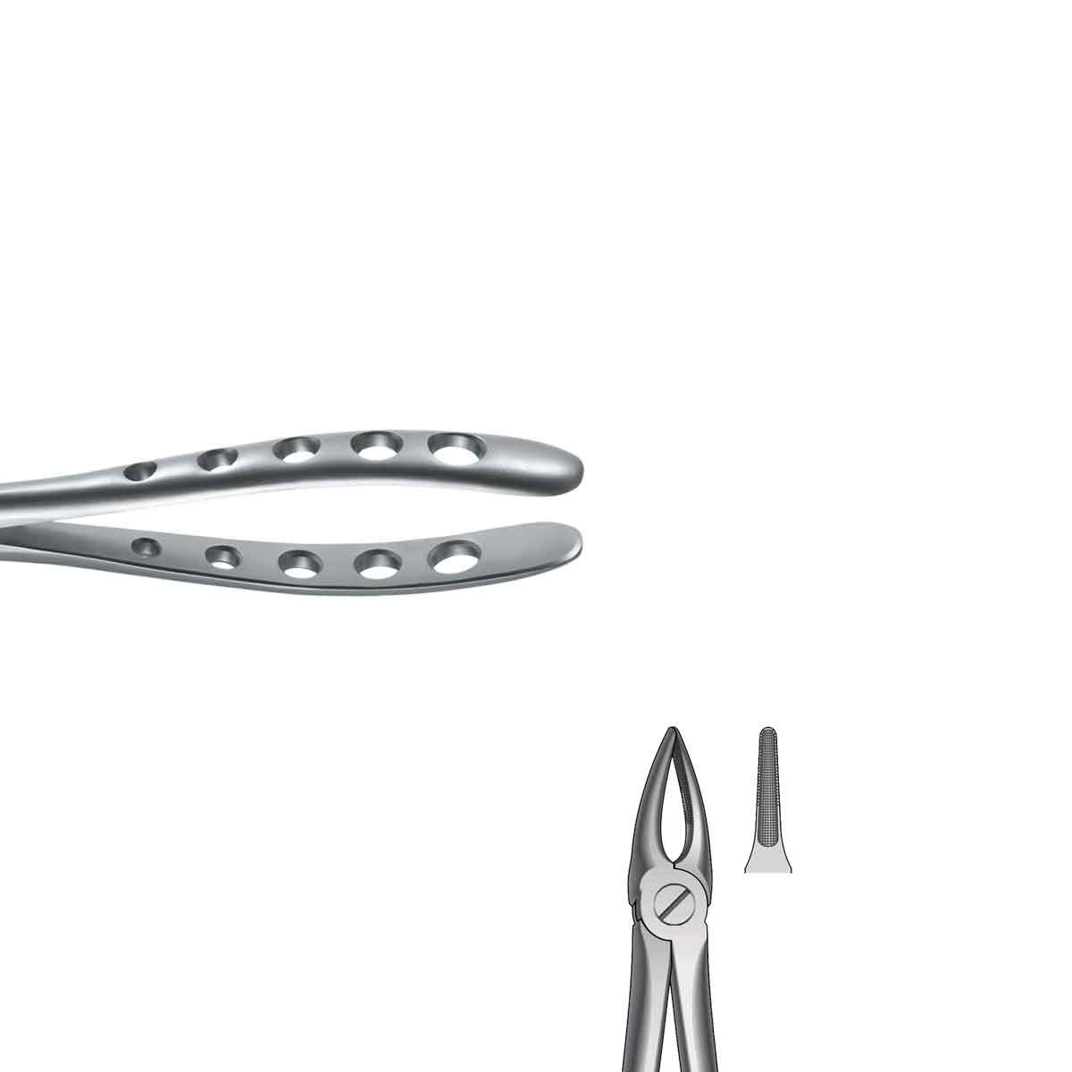 Forceps Raíces superiore n. 29