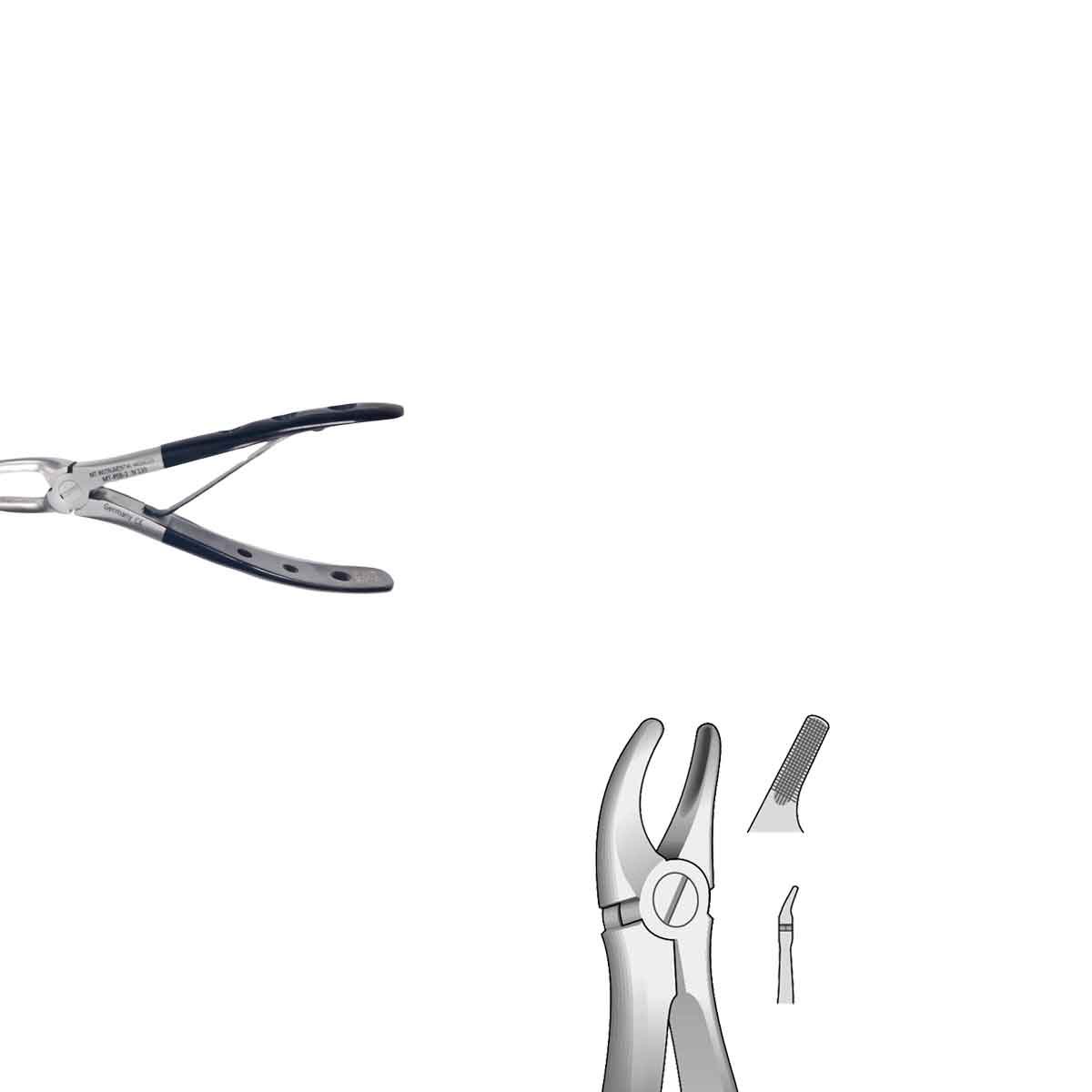 Pinza per premolari superiori Black Line